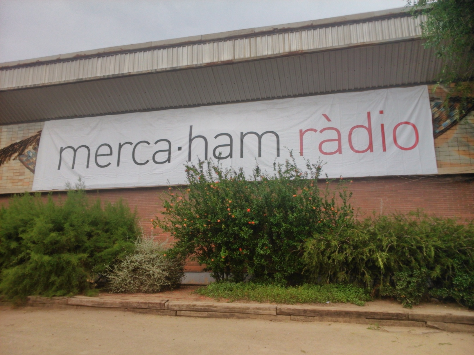 wp-1402675135181.jpg image