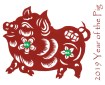 QSL RFA 2019 year of the pig