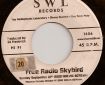 Free Radio Skybird
